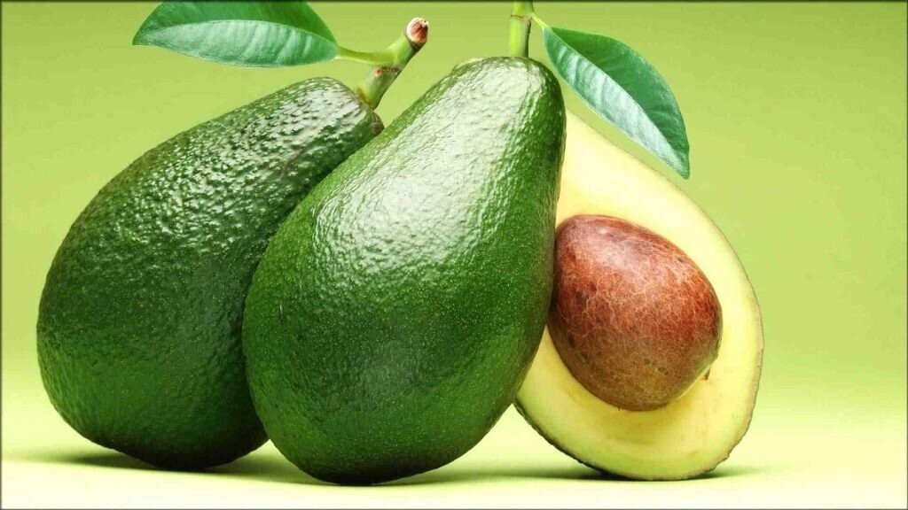5 benefits of avocado seeds