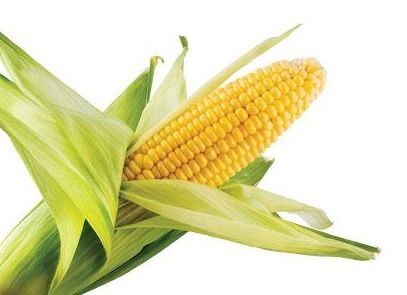 What are the Benefits of Corn Husk?