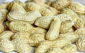 What are the Benefits of Peanut Skins?