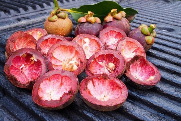 What are the Benefits of Mangosteen Skin?