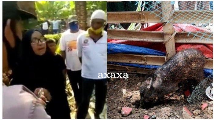 Sosok Ibu Wati yang Viral Tuduh Tetangga Kaya karena Babi Ngepet, Buka Praktik Paranormal