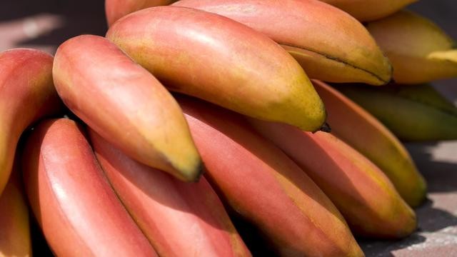 What are the benefits of Red Bananas?